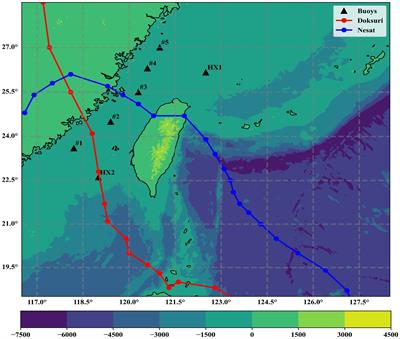 Enhancing typhoon wave hindcasting with random forests and BP neural networks in the SWAN model